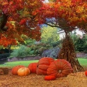 Meet your Posher, Debra